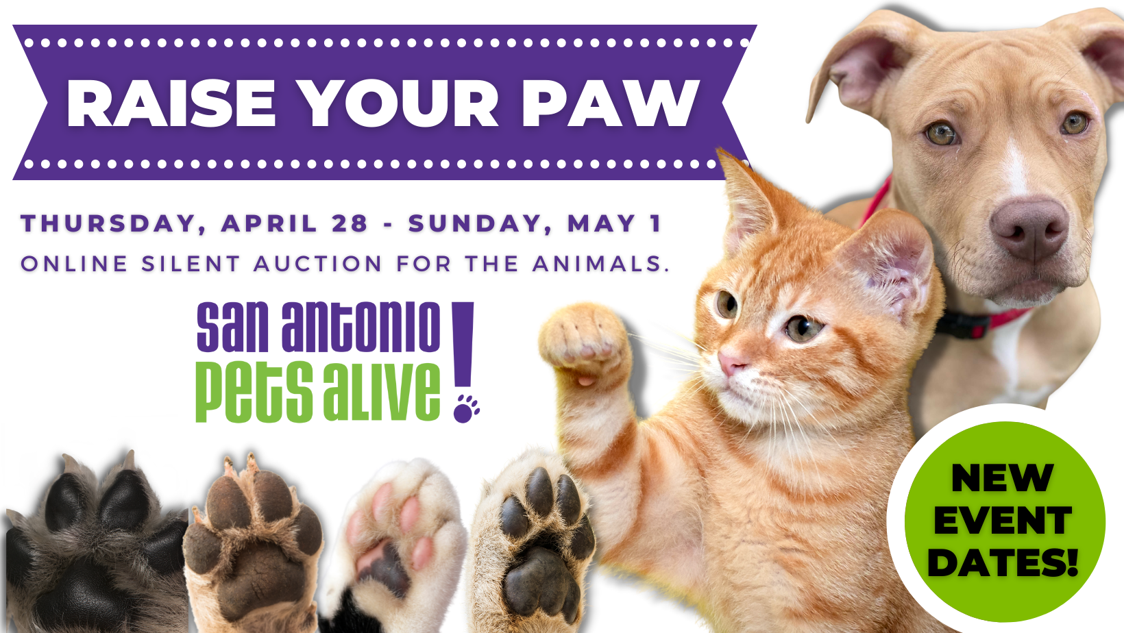 Raise Your Paw